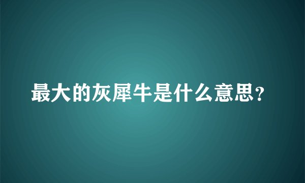 最大的灰犀牛是什么意思？