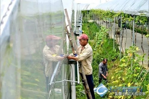 强台风“立奇马”要来了,温室大棚该提前做哪些防御措施,准备什么?