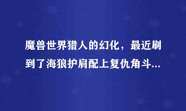 魔兽世界猎人的幻化，最近刷到了海狼护肩配上复仇角斗士的长弓