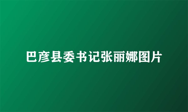 巴彦县委书记张丽娜图片