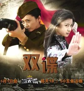 双谍姐妹花的剧情简介