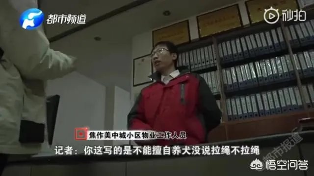 2岁娃等电梯时遭邻居3只狗迎面扑咬出血,事发8天后狗主人不露面不道歉,你怎么看?
