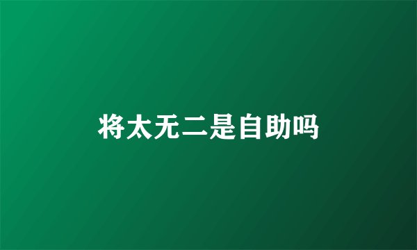 将太无二是自助吗