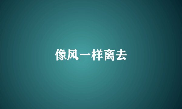 像风一样离去