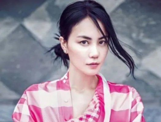王菲韩美娟将合作怎么回事 两人合作原因竟是因为这个