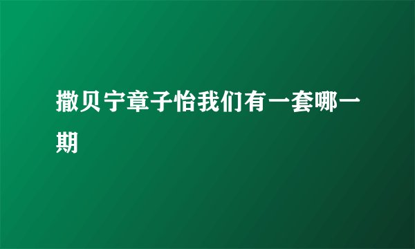 撒贝宁章子怡我们有一套哪一期