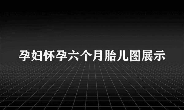 孕妇怀孕六个月胎儿图展示