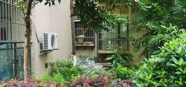 四川一小区绿化带发现男尸床上非常凌乱?死前经历了什么?
