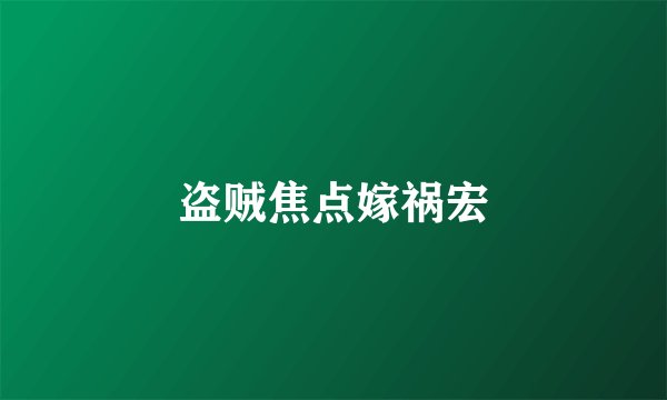 盗贼焦点嫁祸宏
