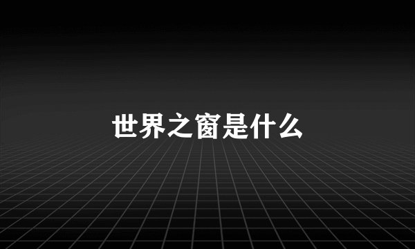 世界之窗是什么