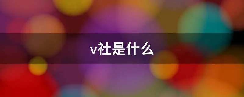 v社是什么