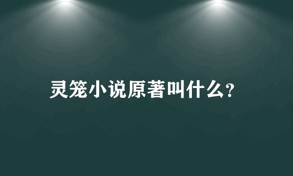 灵笼小说原著叫什么？