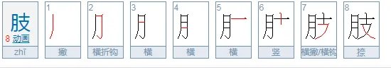 肢组词3个