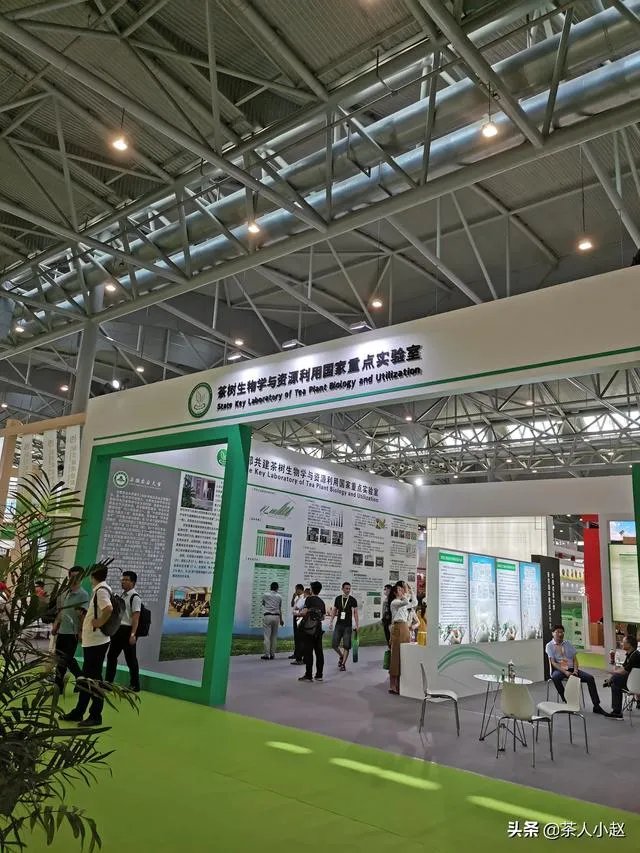 安徽10大名茶占了4个,为何没有安徽茶叶博览会?你怎么看?
