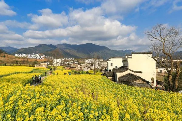 江西婺源旅游攻略 婺源旅游攻略