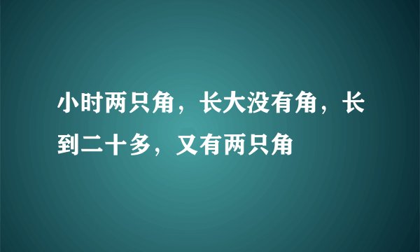 小时两只角，长大没有角，长到二十多，又有两只角