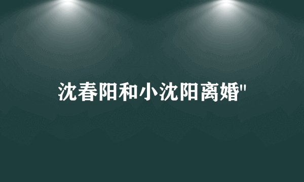 沈春阳和小沈阳离婚