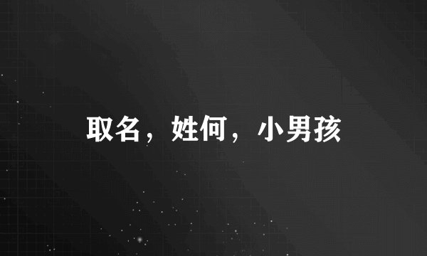 取名，姓何，小男孩