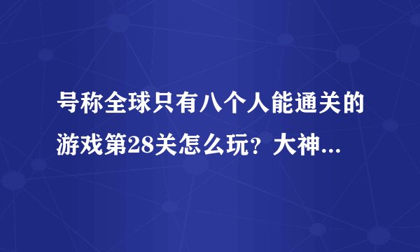 号称全球只有八个人能通关的游戏第28关怎么玩？大神们帮帮忙