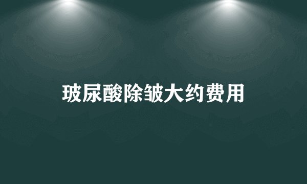玻尿酸除皱大约费用
