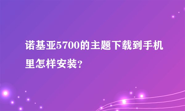 诺基亚5700的主题下载到手机里怎样安装？