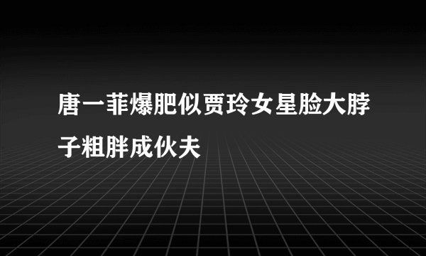 唐一菲爆肥似贾玲女星脸大脖子粗胖成伙夫
