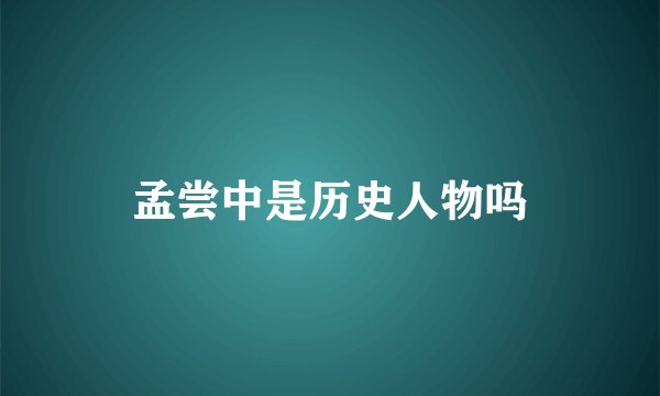 孟尝中是历史人物吗
