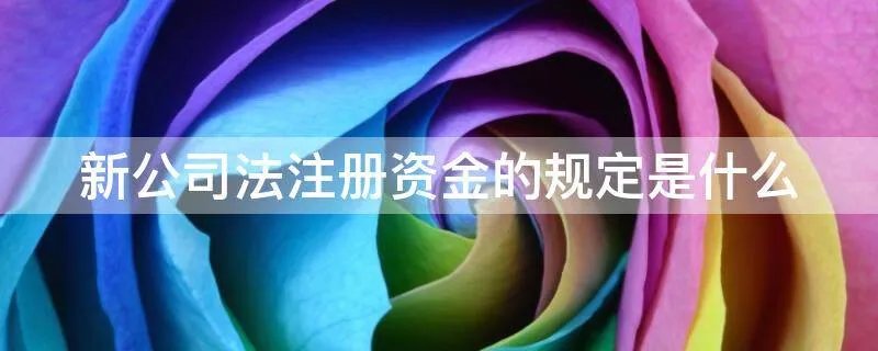 新公司法注册资金的规定是什么