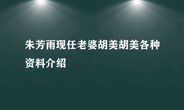 朱芳雨现任老婆胡美胡美各种资料介绍