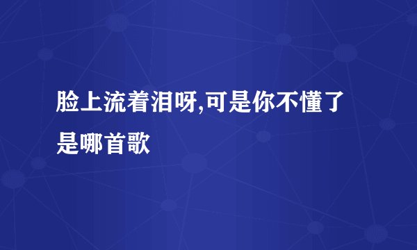 脸上流着泪呀,可是你不懂了是哪首歌