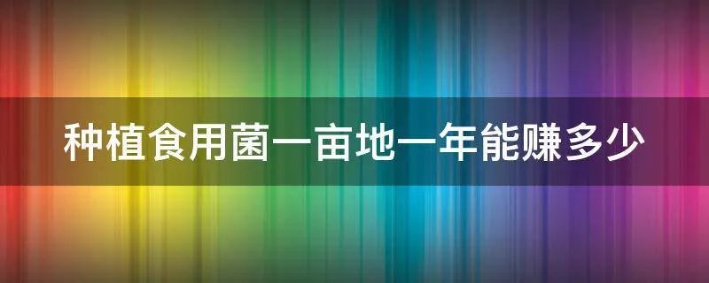 种植食用菌一亩地一年能赚多少