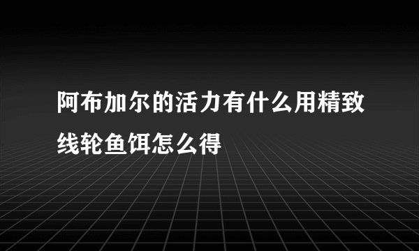 阿布加尔的活力有什么用精致线轮鱼饵怎么得