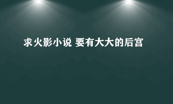 求火影小说 要有大大的后宫