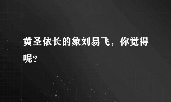 黄圣依长的象刘易飞，你觉得呢？