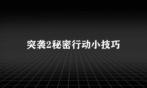 突袭2秘密行动小技巧