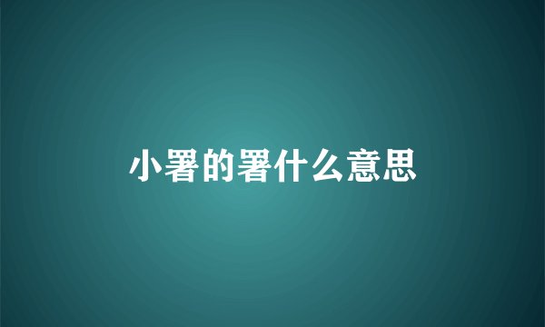小署的署什么意思