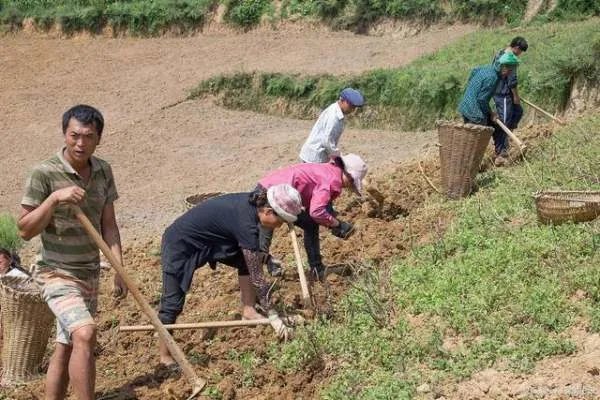 为什么王福重要“抨击”农民?对于他的言论,你怎么看?