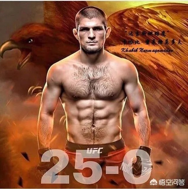 ufc中,小鹰的优点是什么?