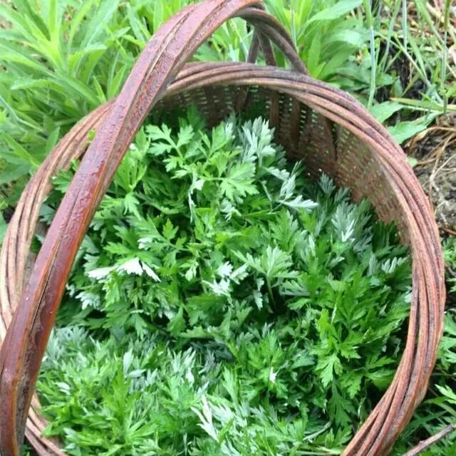 你吃过客家特色美食吗?