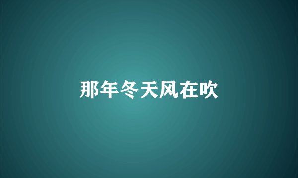 那年冬天风在吹