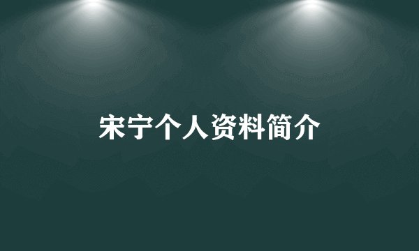 宋宁个人资料简介