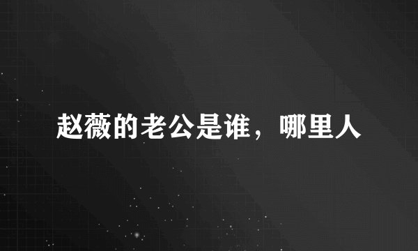 赵薇的老公是谁,哪里人