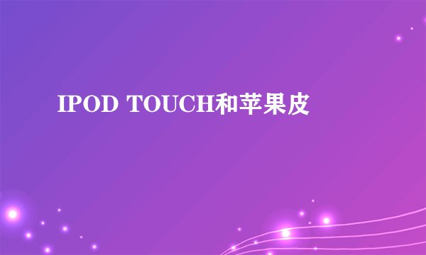 IPOD TOUCH和苹果皮
