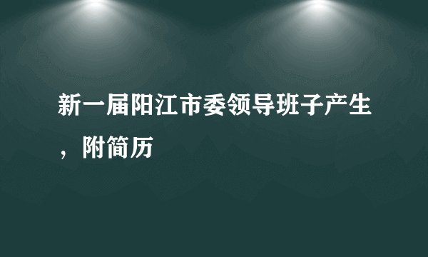 新一届阳江市委领导班子产生,附简历