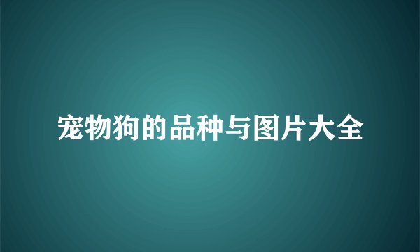 宠物狗的品种与图片大全