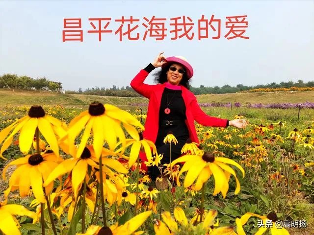 上海奉贤区东端这个镇