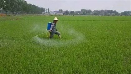 喷除草剂多久下雨没事