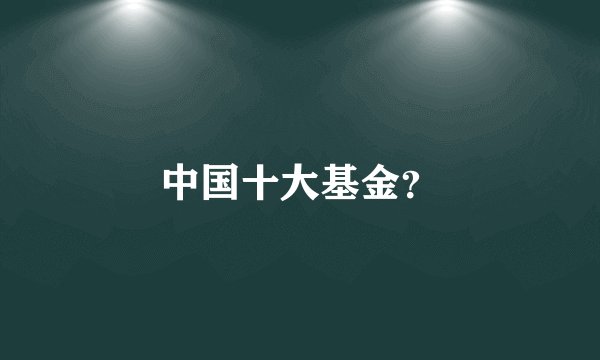 中国十大基金？