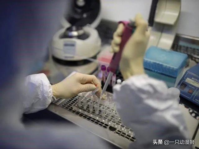 美国宣布进入紧急状态,当地华侨应该怎么团结自救?