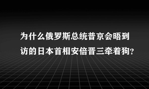 为什么俄罗斯总统普京会晤到访的日本首相安倍晋三牵着狗？